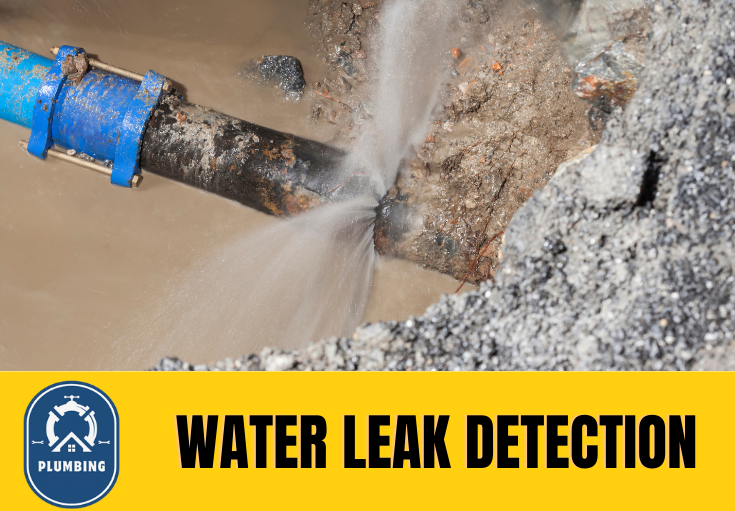 leak detection Ilkley